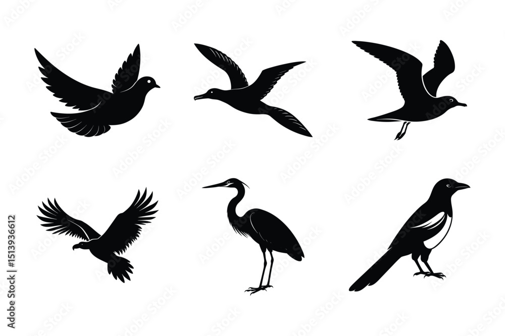 Obraz premium Bird Silhouettes Collection