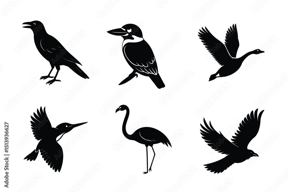 Obraz premium Bird Silhouettes Collection