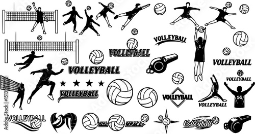 Volleyball Icons and Logo Set
