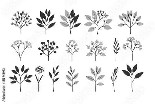 Botanical Illustration of Leaf and Flower Branches-Monochrome Floral Vector Art-Elegant Plant Elements for Design Projects-Nature Inspired Clipart Set