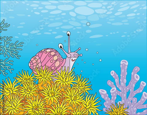 Funny marine snail among co...