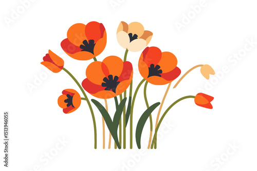 Vector Graphic of Orange and Cream Tulips - Modern Flower Illustration - Spring Floral Design Element for Invitations and Cards - Isolated on White Background