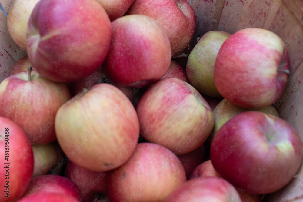 Jonagold apples on a market Jonagold apples on a market