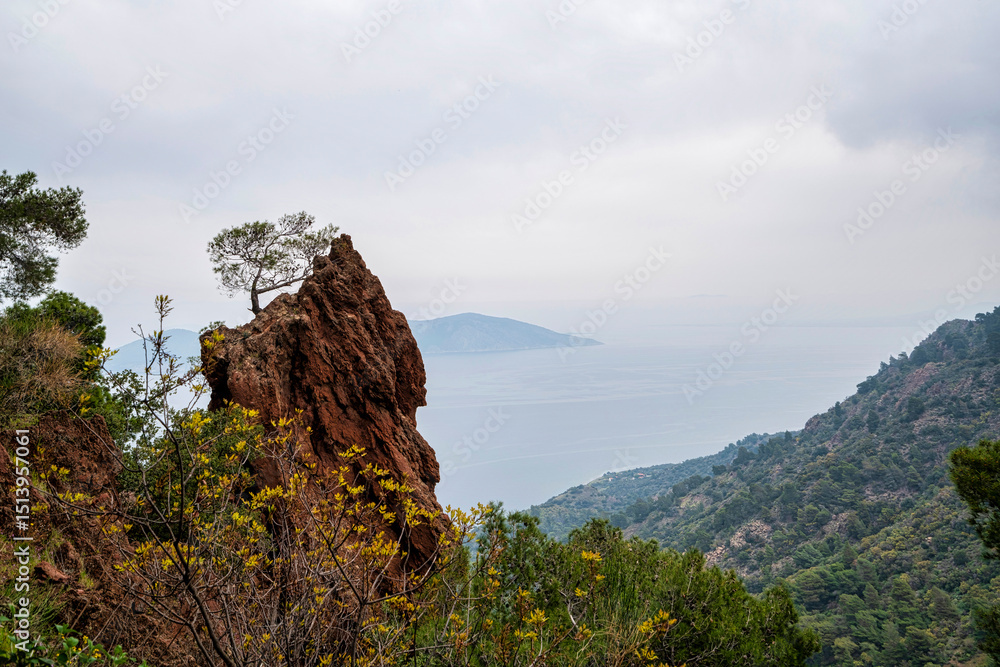 Fototapeta premium Lone Tree on Volcanic Cliff at Kameno Vouno