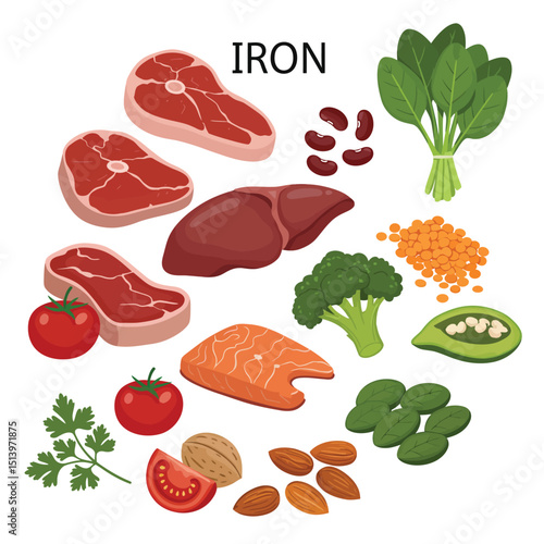 Products containing iron cartoon vector illustration. Fe in meat, liver, beans, nuts. Fresh tomatos and broccoli. Parsley and spinach greens flat color object. Good diet isolated on white background