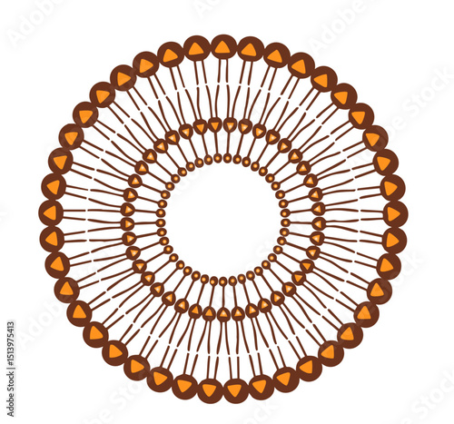 Phytosomal Lipid Complex Architecture