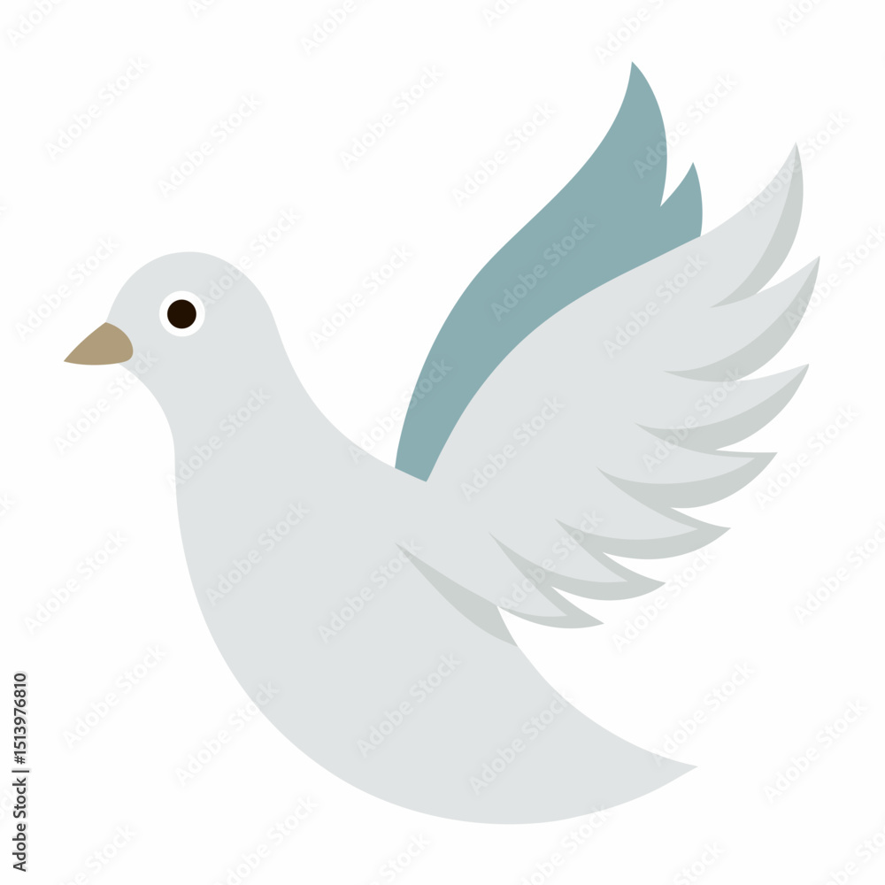 white dove on white background white dove on white background
