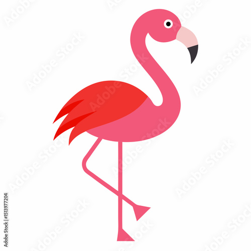 pink flamingo vector illustration