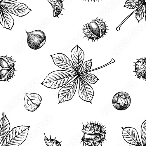 Seamless pattern with chestnuts and chestnut tree leaves. Vector graphics. Black and white hand-drawn illustration. On a white background. Great for textiles and packaging, postcards and labels.
