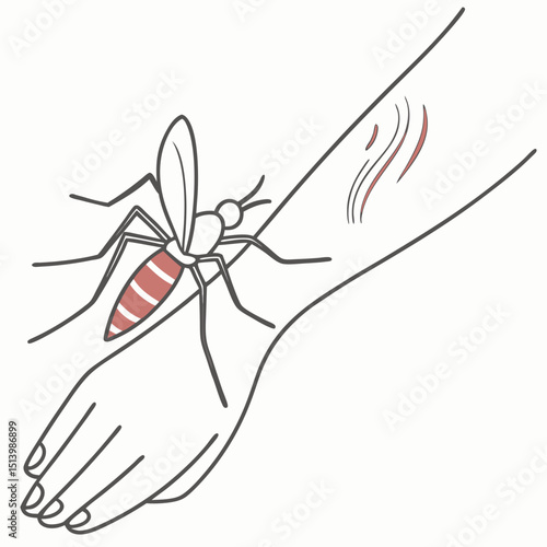 Mosquito biting skin on hand with red marks illustrating irritation  