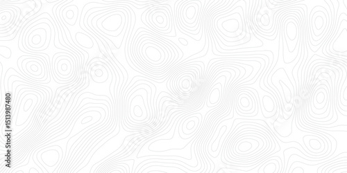 abstract White wave paper curved reliefs abstract background topographic line contour map background, geographic grid map