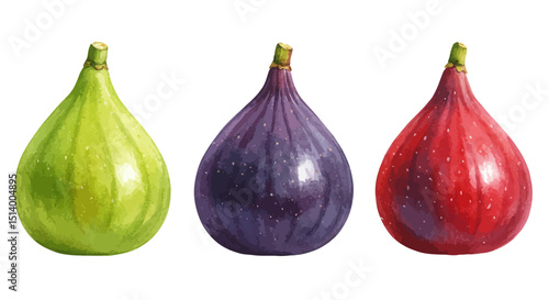 Elegant Watercolor Rendering Showcasing Three Ripe Figs In Diverse Colors Offering A Naturalistic And Artistic Visual Emphasizing The Beauty Of Fresh Produce