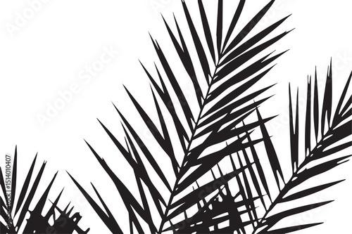 Black Palm Leaf Silhouette on White Background Minimal Nature Art