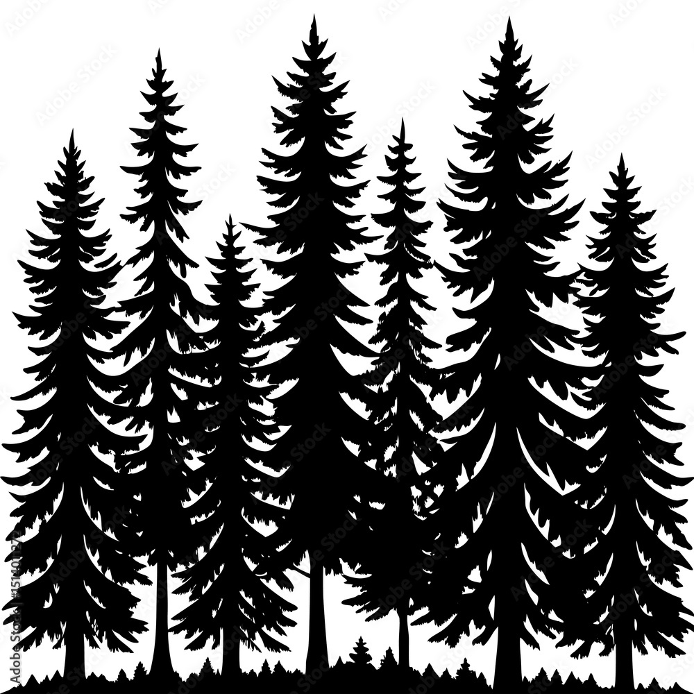 Fototapeta premium Black and White Forest Silhouette: Serene Nature Art