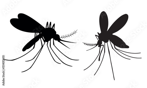 Mosquito Vector Silhouettes on Transparent Background