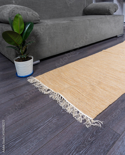 modern living room with sofa