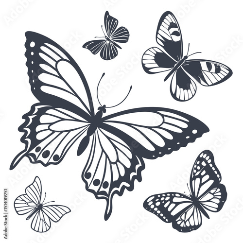 Elegant Butterfly Vector Illustration with Intricate Wing Patterns and Delicate Details