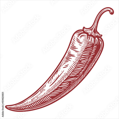 Graphic Illustration of an Abstract Hand-Drawn Pepper Flat Icon
