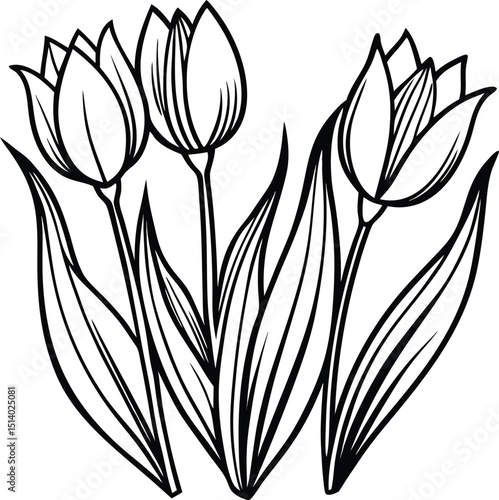 Artistic Tulip Flowers Drawing with Graceful Buds and Slender Leaves Captured in a Striking Black and White Illustration