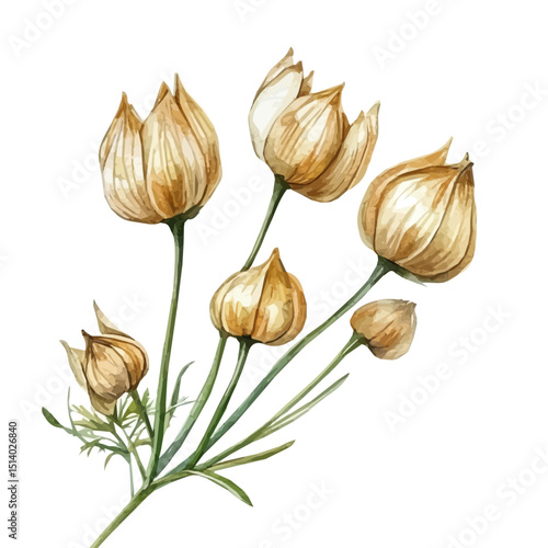 My Watercolor illustration, illustration, cumin painting isolated on a white background, illustration, AI painting design, vector illustration set, eps format