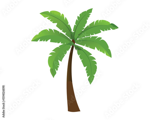 vector palm tree isolated on white background