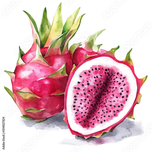 My Watercolor illustration dragon fruit painting isolated on a white background, illustration, AI painting design, vector illustration set, eps format	
