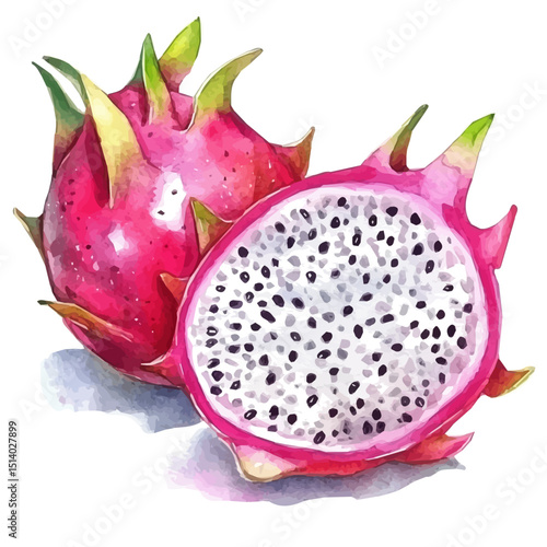 My Watercolor illustration sliced dragon fruit painting isolated on a white background, illustration, AI painting design, vector illustration set, eps format	