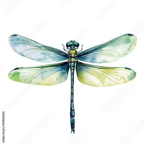 My Watercolor illustration, dragonfly painting isolated on a white background, illustration, AI painting design, vector illustration set, eps format	