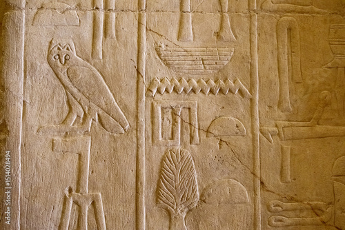 Hieroglyphic carvings depicting owl and various symbols, Saqqara, Egypt