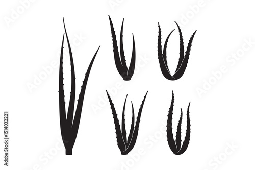Aloe Vera Leaf Silhouettes