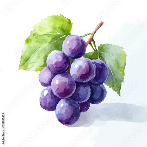 My Watercolor illustration, illustration grape painting isolated on a white background, illustration, AI painting design, vector illustration set, eps format	