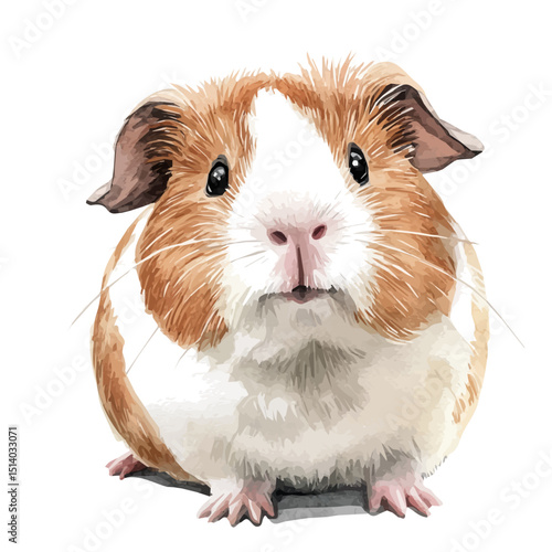 My Watercolor illustration, illustration guinea pig painting isolated on a white background, illustration, AI painting design, vector illustration set, eps format	