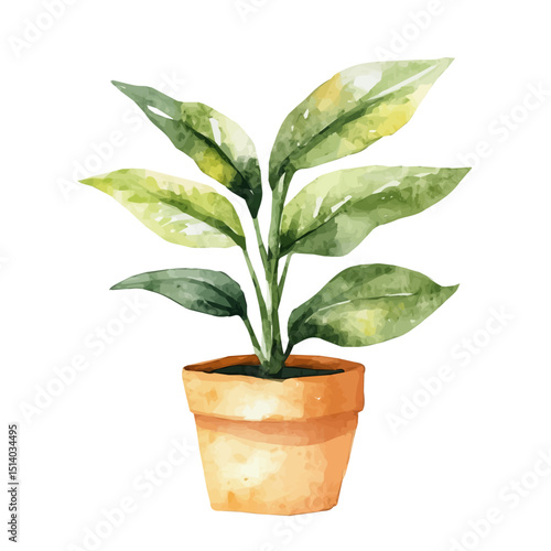 My Watercolor illustration, illustration houseplant in vase painting isolated on a white background, illustration, AI painting design, vector set, eps format design,