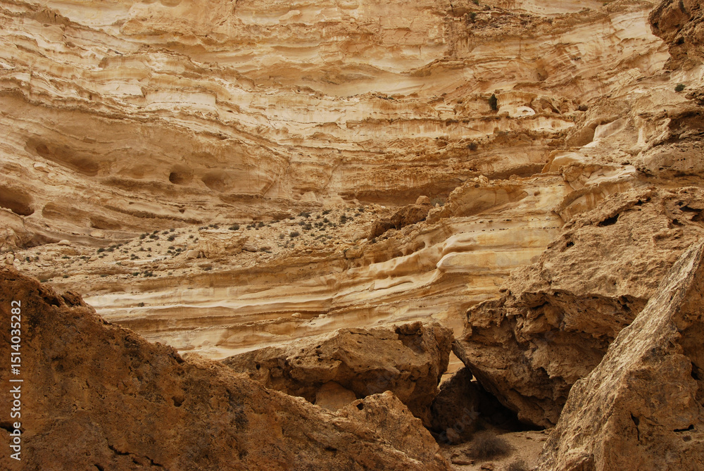 Naklejka premium Eroded limestone canyon in Ein Avdat, Israel, showing layered rock formations, desert vegetation, and natural textures shaped by wind and time. 