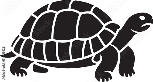 A black silhouette of a turtle with a patterned shell design