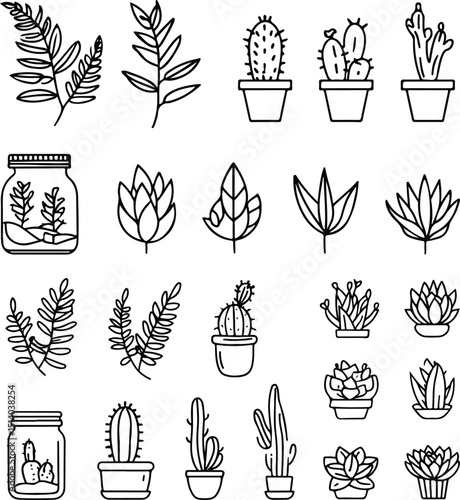 Line art succulent and leaf set
