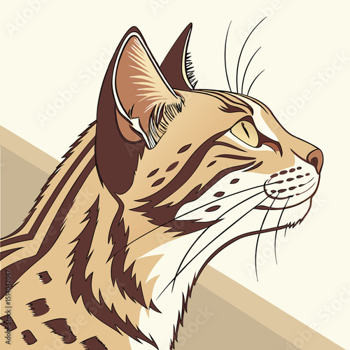 Photography Feline illustration stylized lynx or wildcat with distinctive striped and spotte