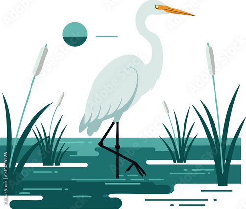 White heron standing in swamp with reeds and water plants vector illustration 