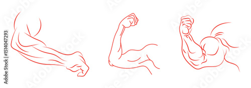 Muscle liner icon vector set. Biceps. Muscle icon. Gym logo. Vector .Biceps icon Simple thin outline