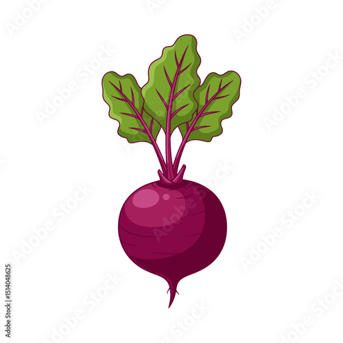 151 beetrot