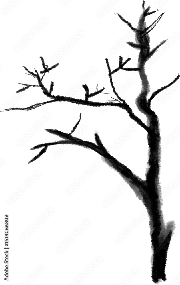 Obraz premium 나무,나무가지,나뭇가지,설날,새해,추석,한가위,설,소나무,잔나무,전나무,수채화,붓그림,한국전통,명절,명절나무,식물,감나무,