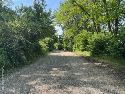 gravel pathway surrounded by trees