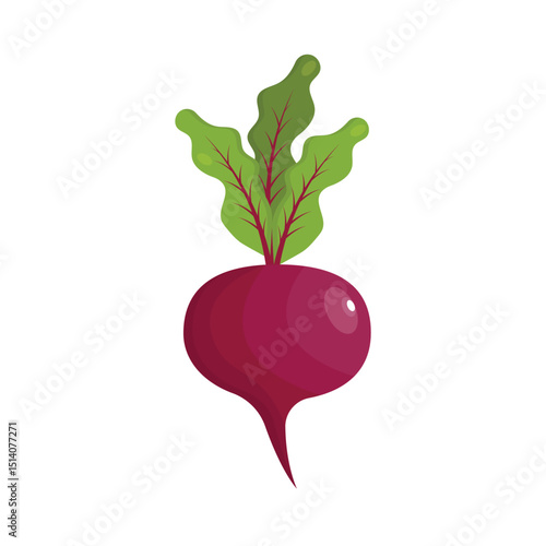 Beets Vegetable Icon Vector Design.