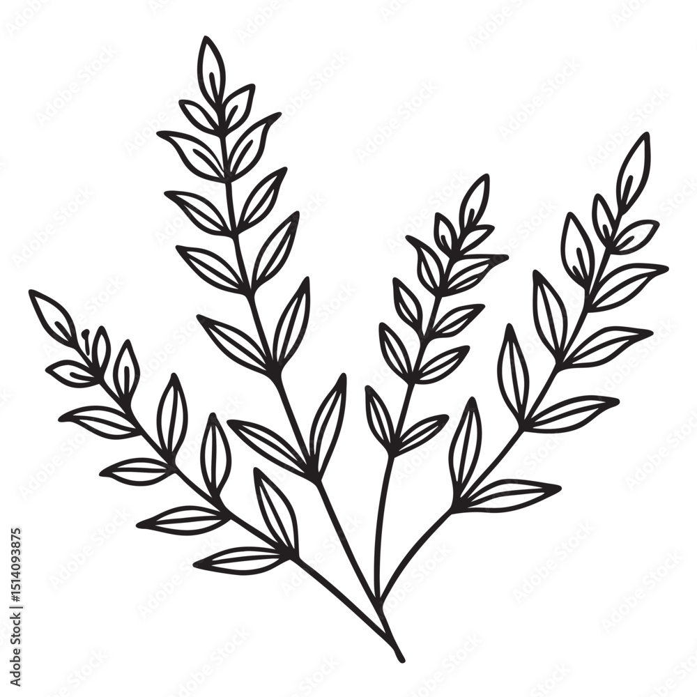 Fototapeta premium Elegant hand drawn floral branch illustration with outlines for decorative design elements