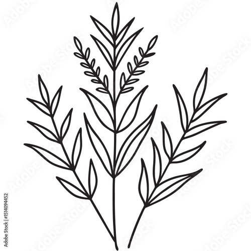 Simple and elegant black and white botanical illustration of floral elements for design