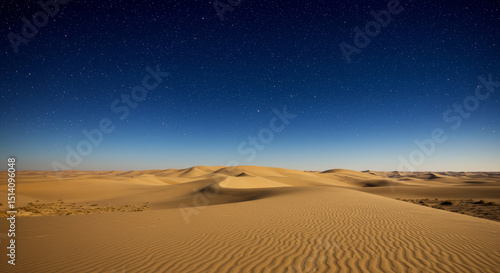Fototapeta Naklejka Na Ścianę i Meble -  sand dunes in the sahara