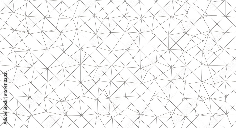 Fototapeta premium gray texture pattern vector