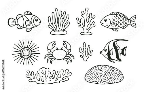 Coral reef creatures outline icons set – marine, aquatic life symbols for design