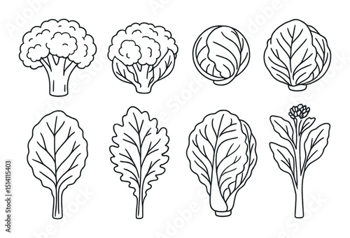 Cruciferous vegetable icons set – silhouette cabbage, leafy greens, nutrient symbols
