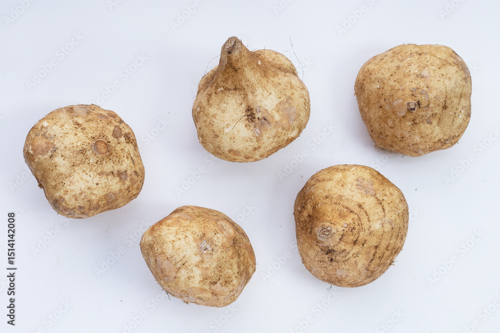 Fototapeta premium Mexican turnip or jicama or yam bean